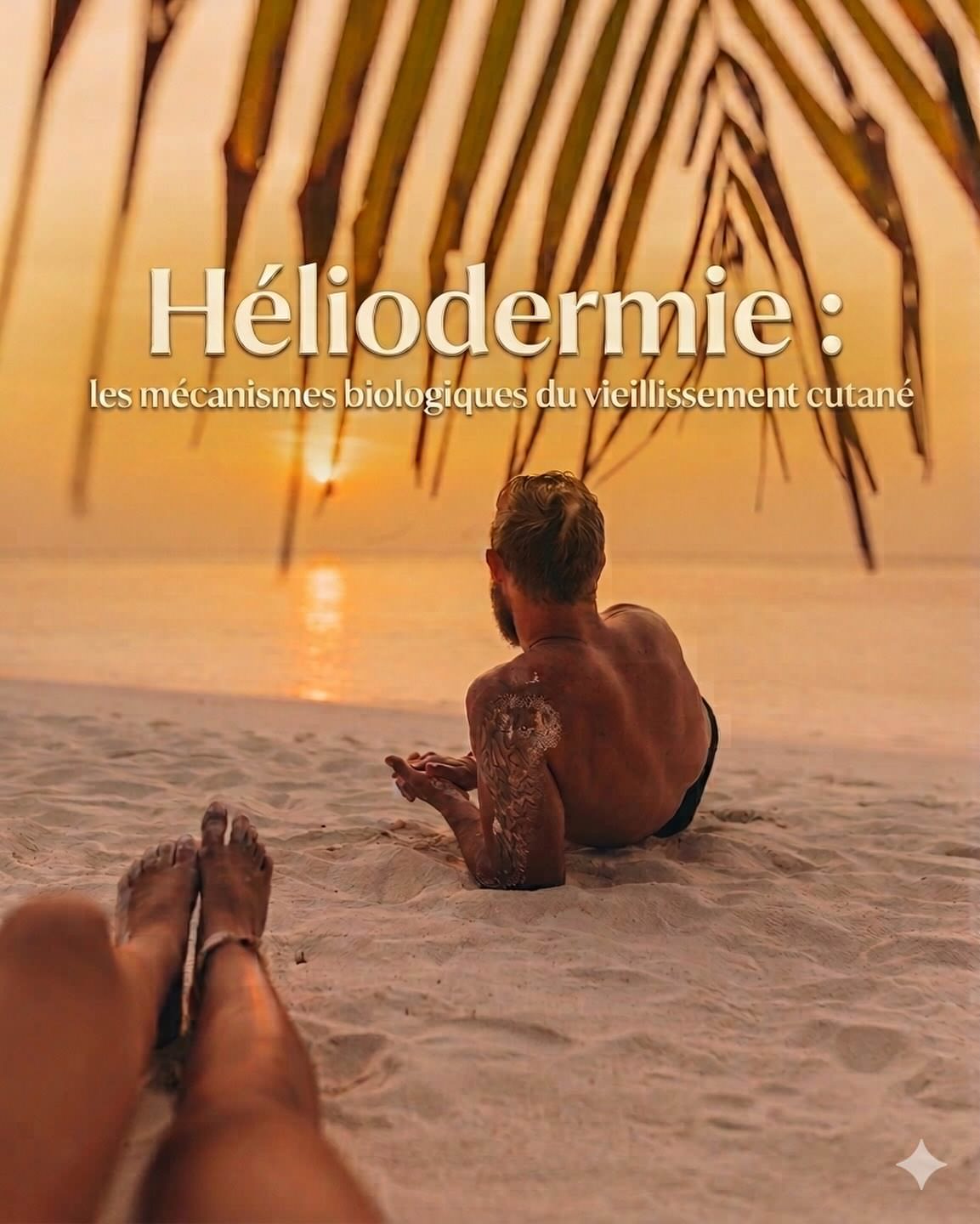 Photovieillissement héliodermie UVA UVB mécanismes biologiques peau